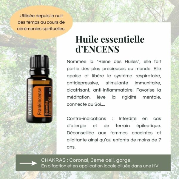Kit Energétique ✨ – Image 3