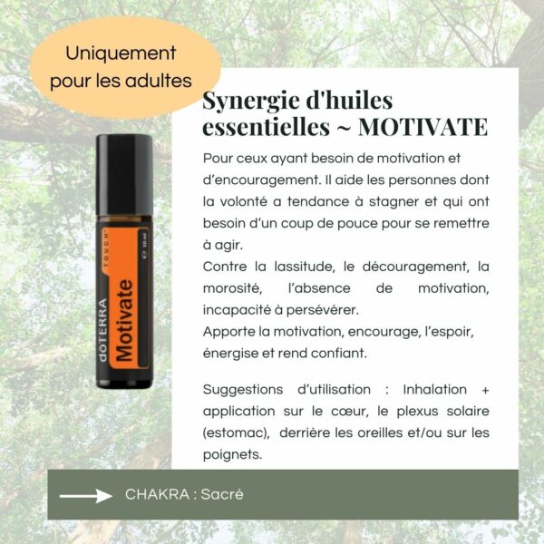 Kit Energétique ✨ – Image 5